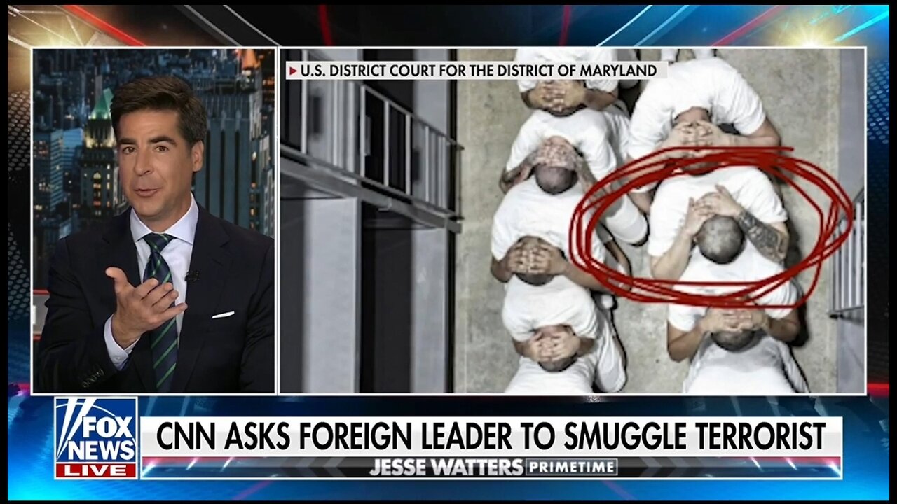 Watters: The Press Is Fighting For Gang Bangers