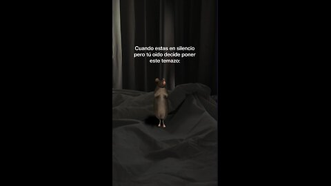 Si es un temazo
