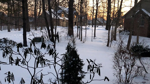 February 19, 2021 - The View From My Front Door