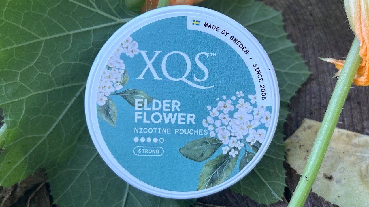 XQS Elderflower Nicotine Pouches Review