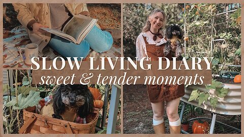 Life’s Tender Moments | Slow Living, Cottage Garden & Coastal Day Trip Vlog