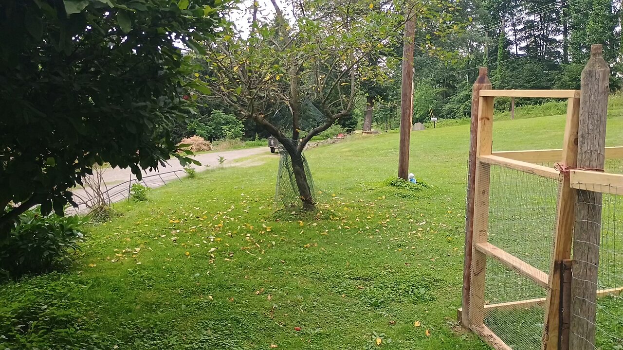 Episode 5, PA Supreme Ct Judges Nov Elect.