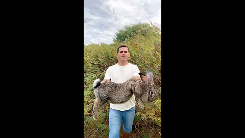 the bigest rabbit