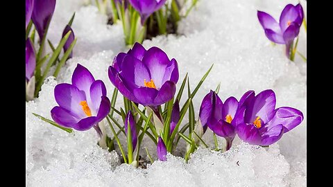 Stepping It Up!: Apoc's Spring '26 Semester