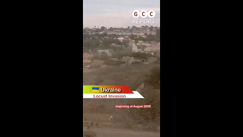 #Ukraine #LocustInvasion #Zaporizhzhia #Kherson #Odesa #BlackSea #weather #climate #anomaly