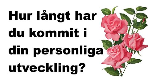 Hur långt har du kommit i din personliga utveckling?