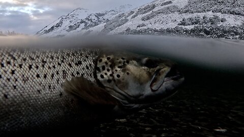 MY BIGGEST FISH EVER! Catching a MONSTER FISH at a snowy mountain lake