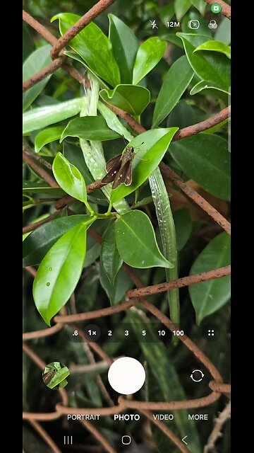 "The Samsung Galaxy S24 Ultra's camera is insane. 😍