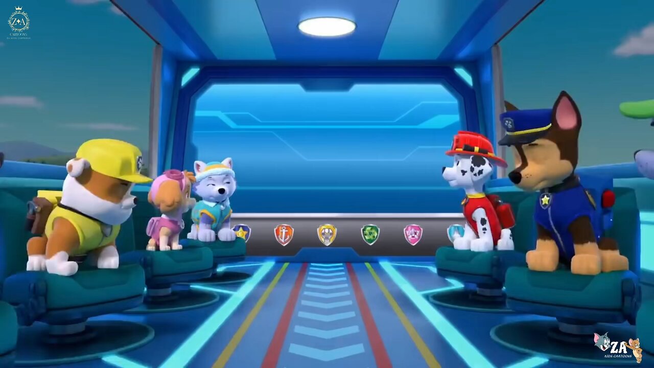 PAW Patrol Cartoons