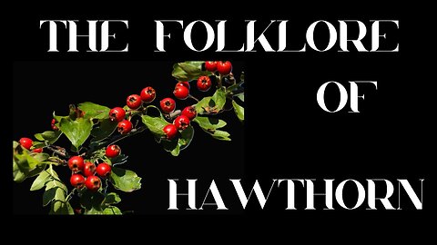 S9 Ep 3 Hawthorn's History: Folklore, Myths & Magic