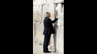 VladTalks | Wanking Wall | Dig