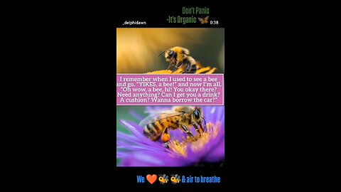 Don't Panic 🐝It's Organic 🙏🌱💚🌻🦜🌺🐝🐝🐦🦋🐞🐛💯