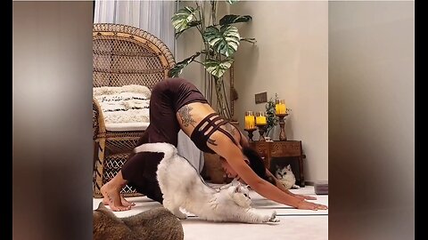 The Very Definition of "Copy Cat" [Viral] 🤣