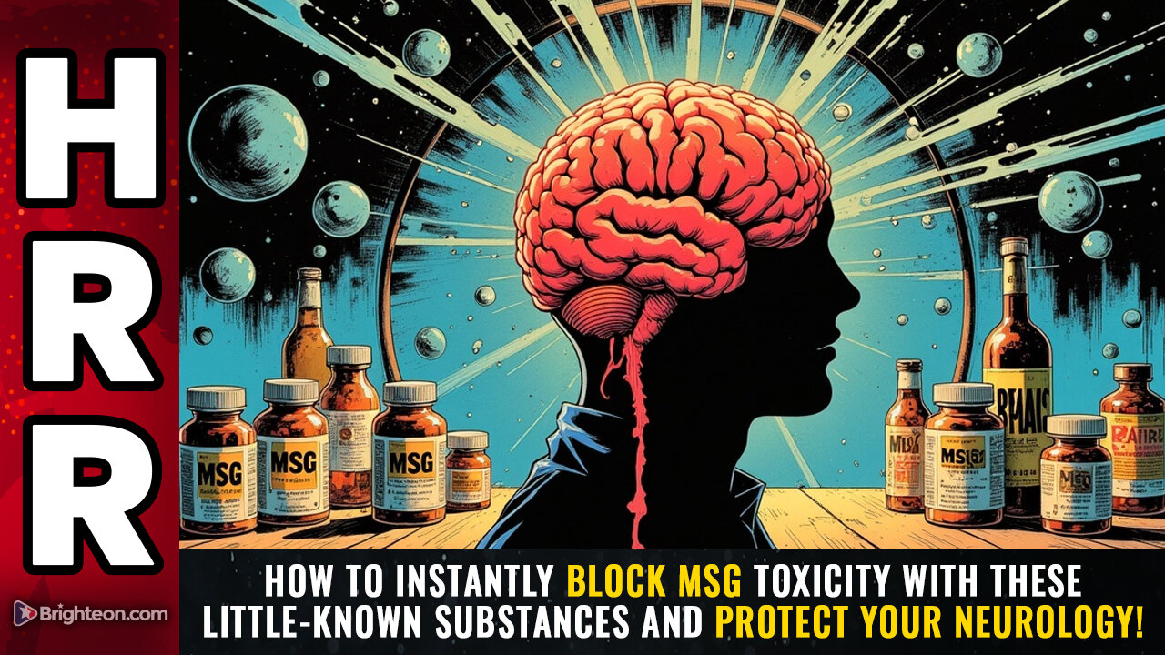How to instantly BLOCK MSG TOXICITY with these little-known substances...