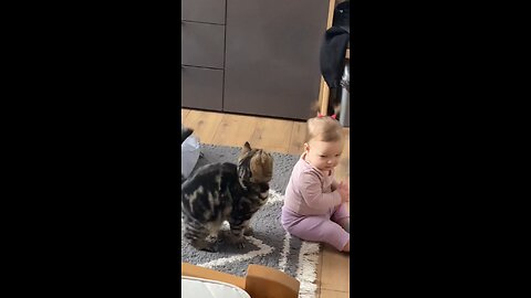 **"Friendship Knows No Bounds: Baby & Cat Unite!"** ❤️