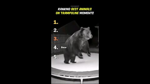 trampoline challenge