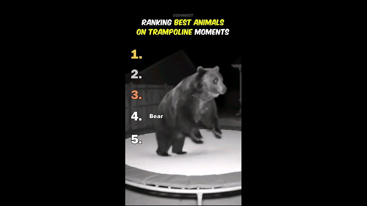 trampoline challenge