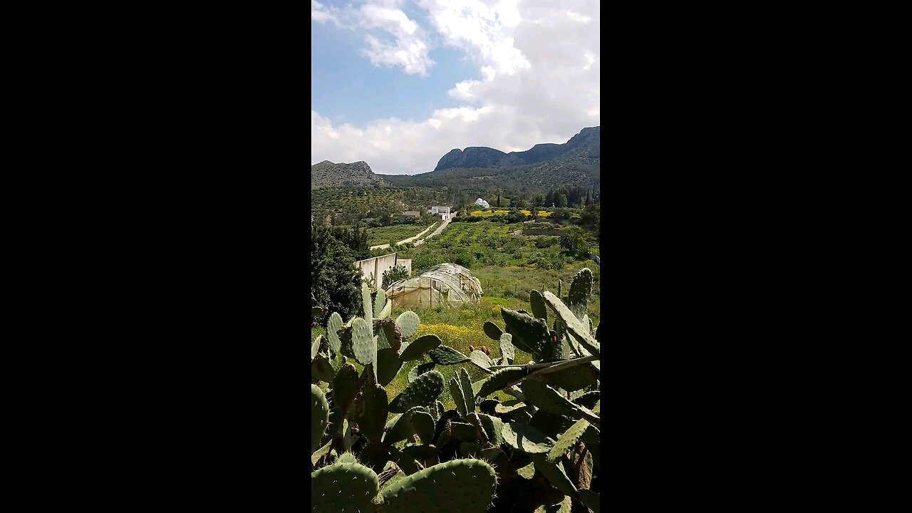 my day with nature