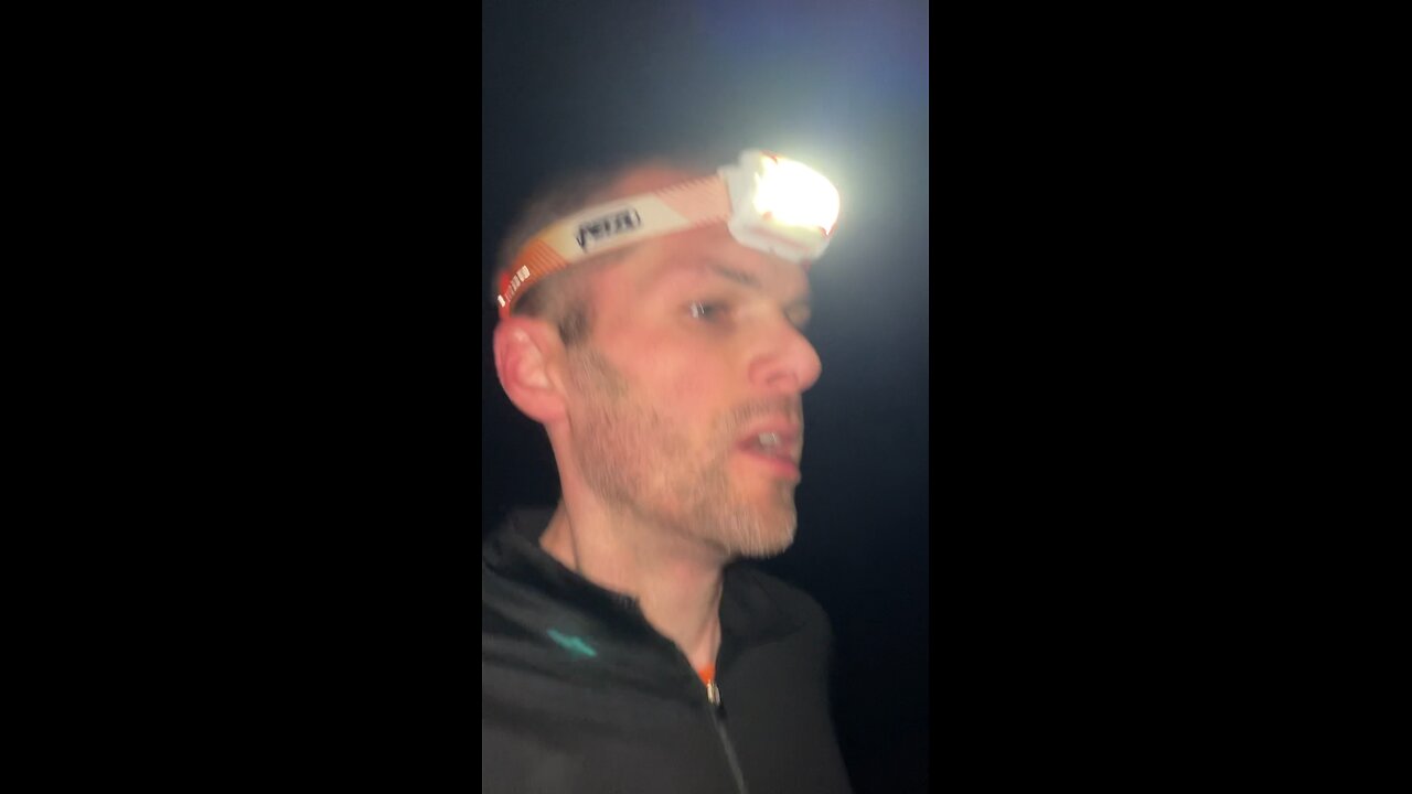 Day 384: progression runs are a good workout
