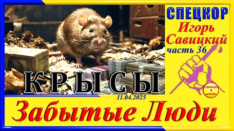 КРЫСЫ- ч. 36 СПЕЦКОР Игорь Савицкий