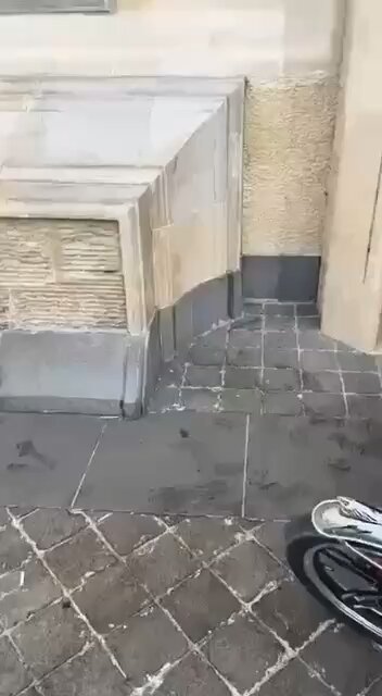 NEW: HTS Militants Set Fire to Hafez al-Assad’s Tomb & Burn His Coffin