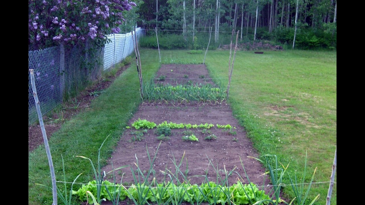 9 June 2025 garden tour and story