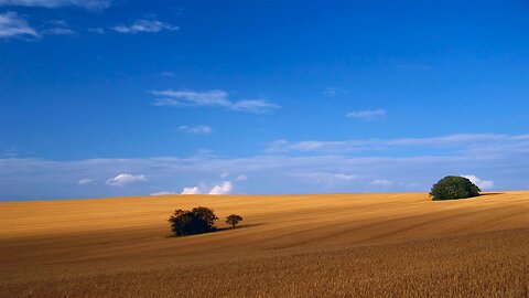 “Laborers for the Harvest”, Matthew 9:35-38, Sunday Worship, January 18, 2026