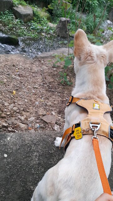 20250731. Holy Spirit.