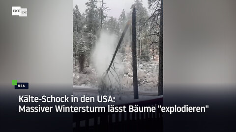 Kälte-Schock in den USA: Massiver Wintersturm lässt Bäume "explodieren"