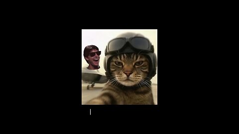 TopGun