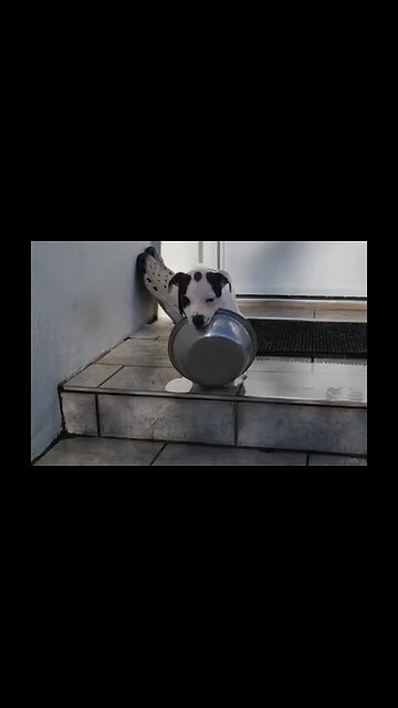 He Meant To Do That…