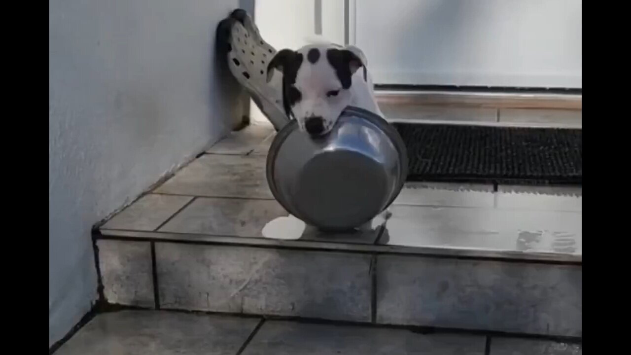 He Meant To Do That…