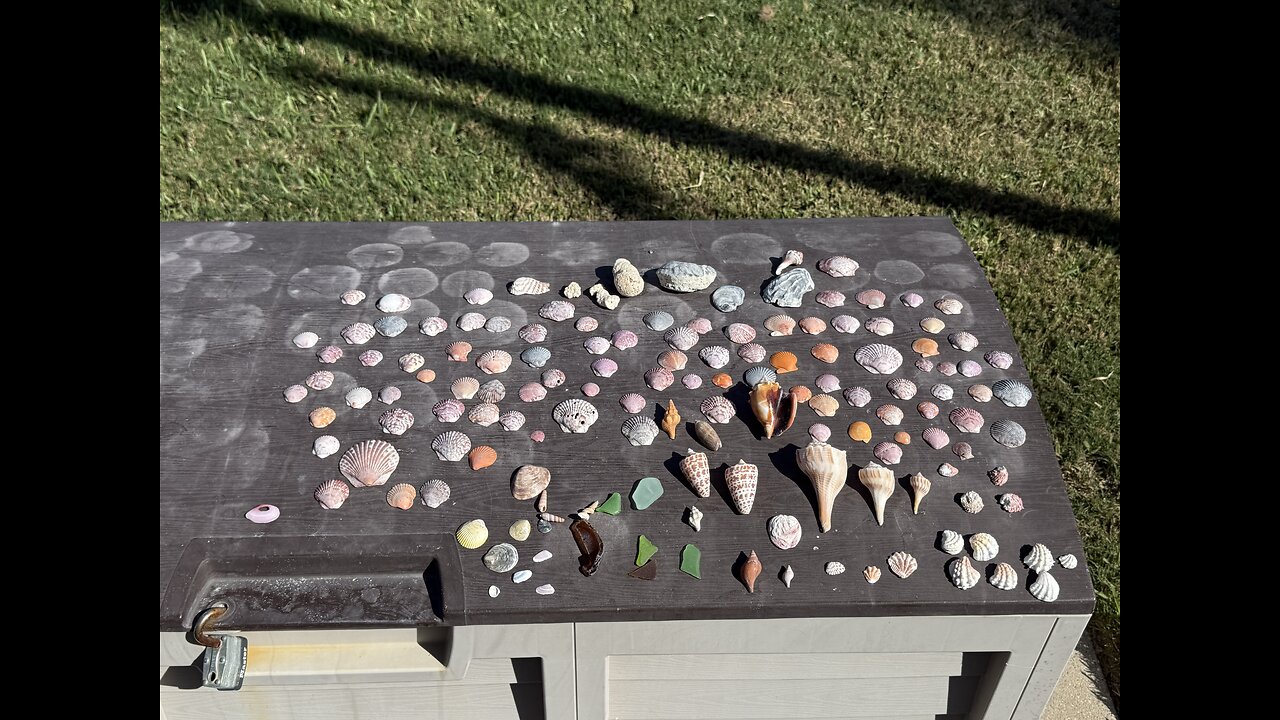 Beach Finds 5/20/2025 | 4K