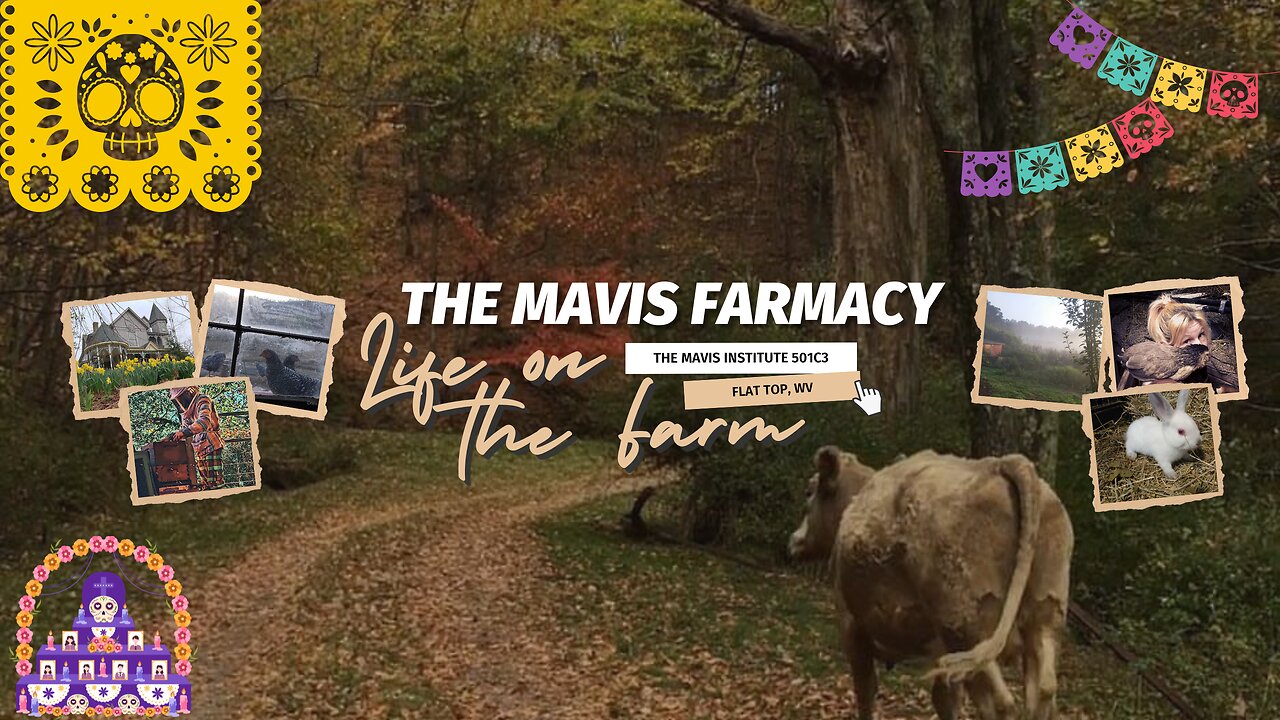 🕯️Through the Autumn Veil | 24/7 Permaculture Homestead Farm | Samhain & All Saints