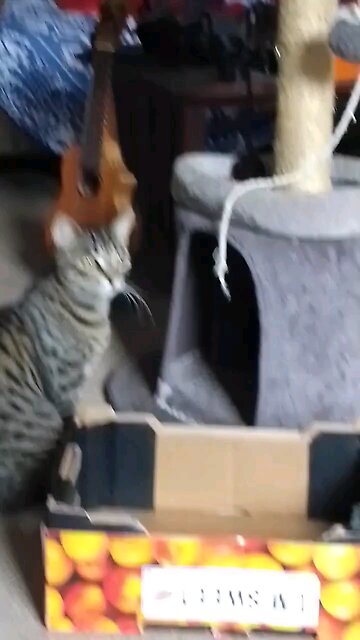 I'm Sweet 💋 Love You Mumi 😻