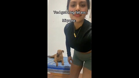 The dog cry for help
