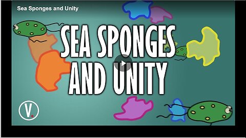 "Discovering Sea Sponges: An In-Depth Exploration"