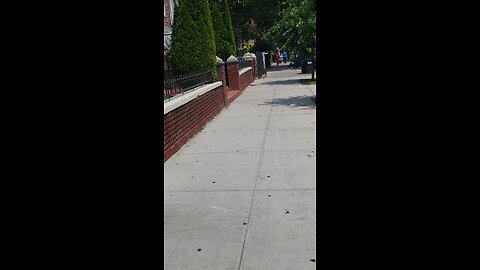 NY Predators Dept and Walgreens employee are deleting my prescription orders in the Walgreens system