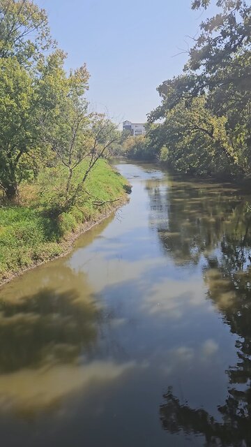 Some Ducks for my Peeps