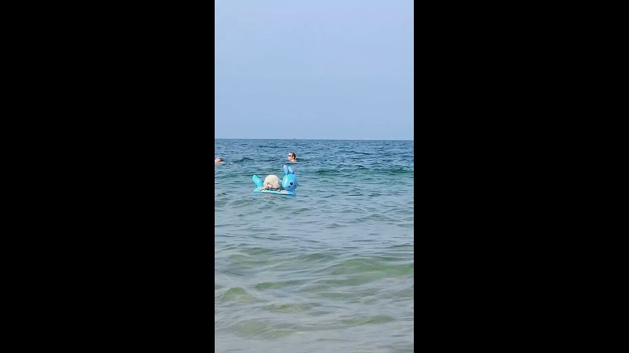 go swimming on a nice sunny day