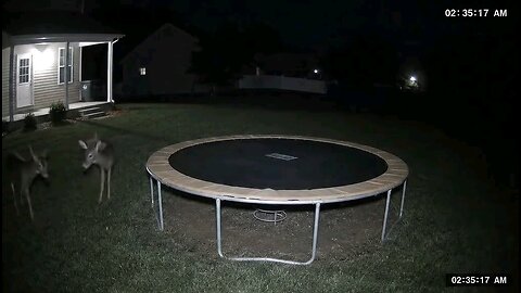 kosuly ufo