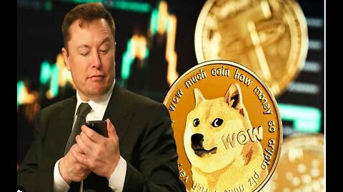 Elon Musk Shares Most Outrageous Discoveries by DOGE