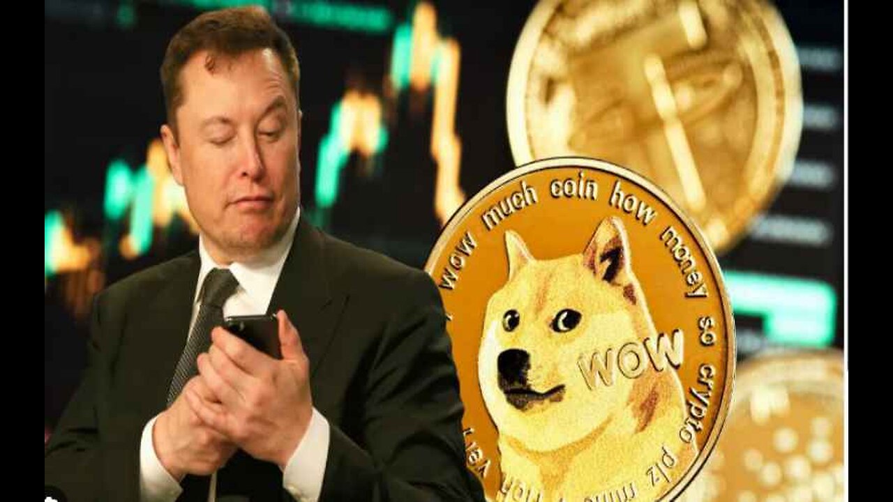 Elon Musk Shares Most Outrageous Discoveries by DOGE