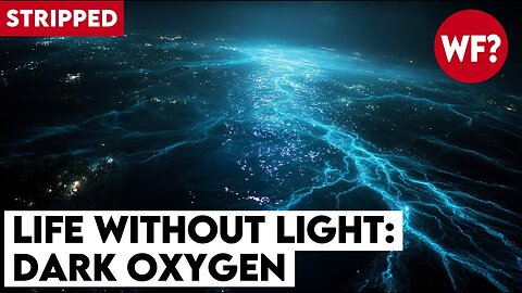 Dark Oxygen | CIA Deep Sea Secret Could Trigger the Next Extinction Event (STRIPPED)