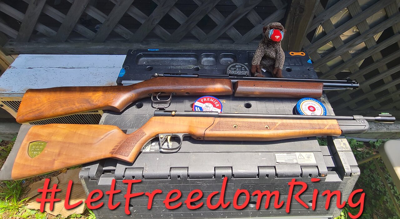 #letfreedomring Backyard Plinking to Celebrate Independence Day with Crosman 362 and Benjamin 397