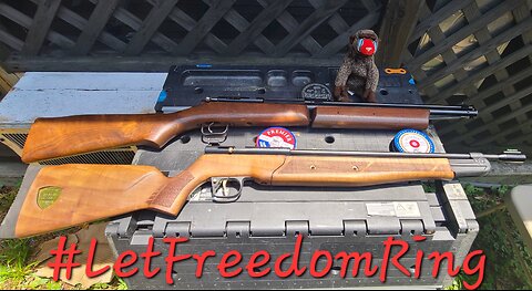 #letfreedomring Backyard Plinking to Celebrate Independence Day with Crosman 362 and Benjamin 397