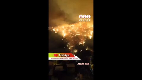 #Türkiye #Bursa #disaster #wildfire #fire #weather #climate #destruction #anomaly #climatechange