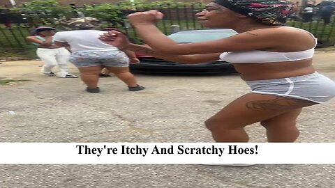 Fighting And Twerking! Its What Black Women Do!