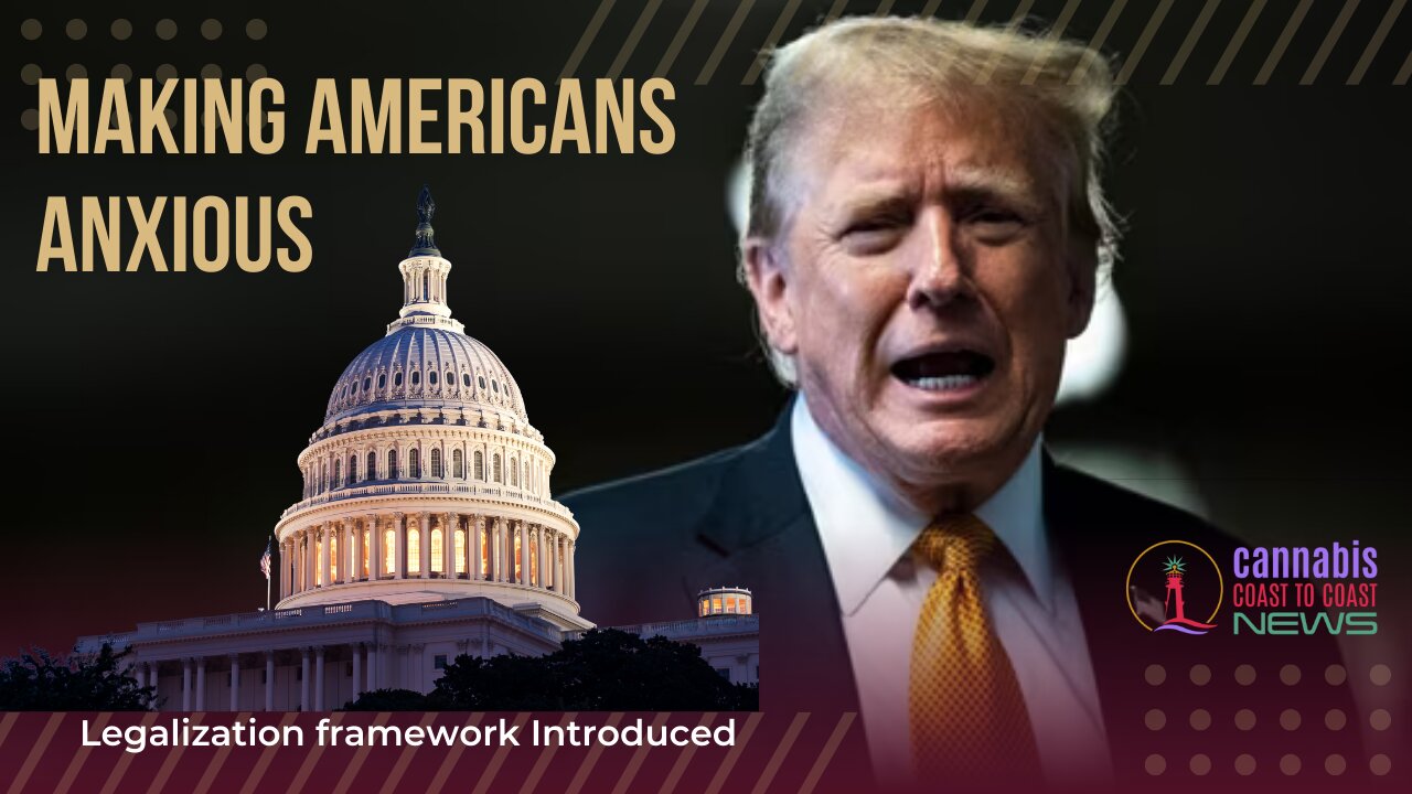 Legalization Framework Introduced by Bipartisan Reps in US House - Trump is Making Americans Anxious