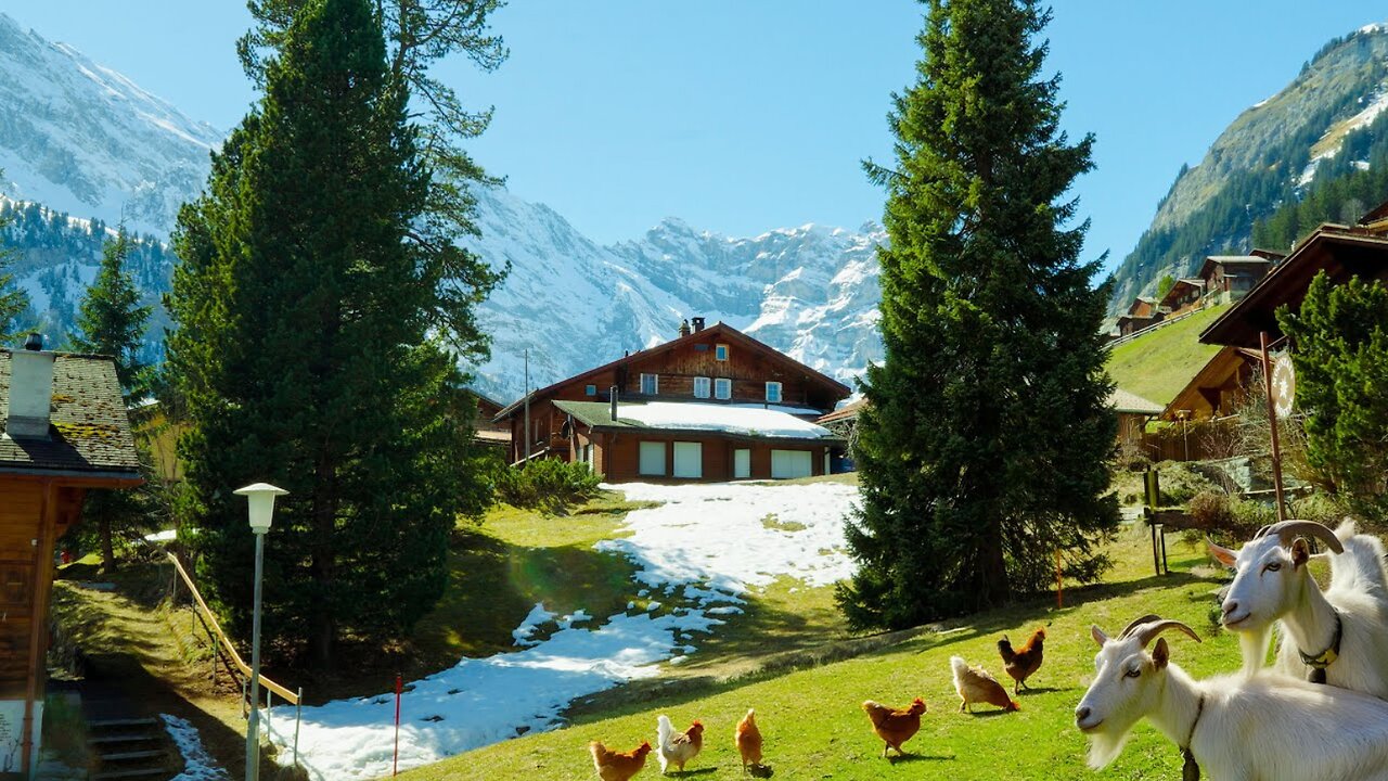 Life in the Isolated Swiss Mountain Village | A Hidden Alpine Paradise